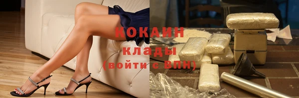 ПСИЛОЦИБИНОВЫЕ ГРИБЫ Санкт-Петербург