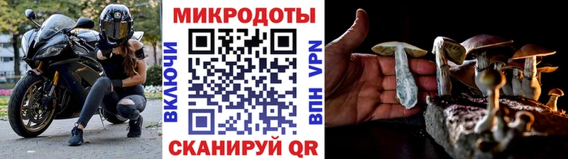 где продают   MEGA   Галлюциногенные грибы мухоморы  мориарти как зайти  Брянск 