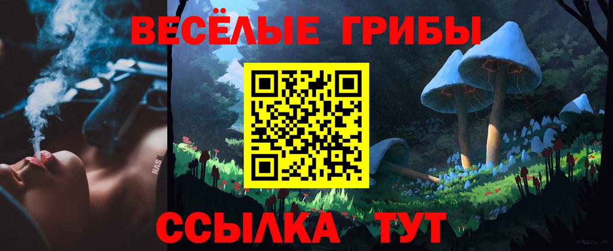 Галлюциногенные грибы Psilocybine cubensis Брянск