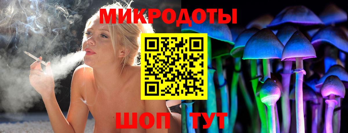 Брянск  Галлюциногенные грибы прущие грибы  Вход с VPN 