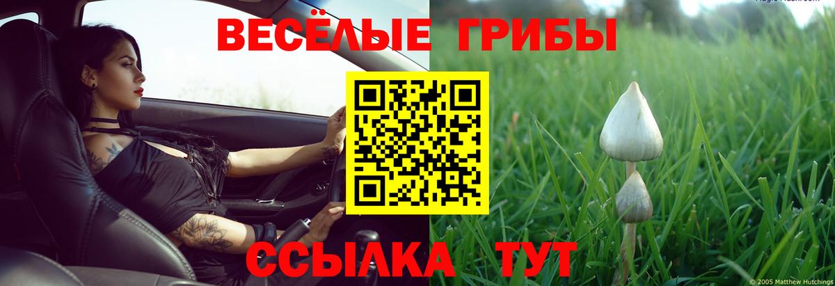 Галлюциногенные грибы MAGIC MUSHROOMS  купить   Брянск 